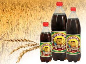 莫斯科民族飲品卡瓦斯 暢游俄羅斯首都的餐飲與旅游攻略