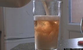 你敢嘗嗎？12款挑戰味蕾極限的另類酒精飲品